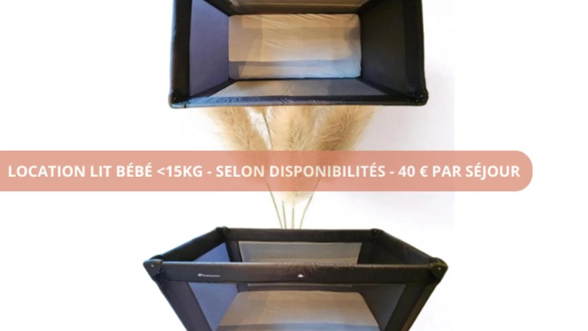 T3 Spacieux 115M2 Au Coeur De Toulouse - Calme - Jardin - Parking 3 Min 0*,